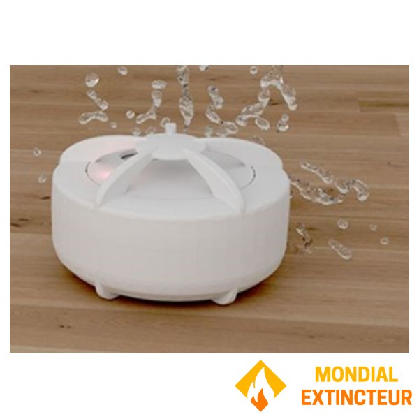 Alarme d'inondation - Radio