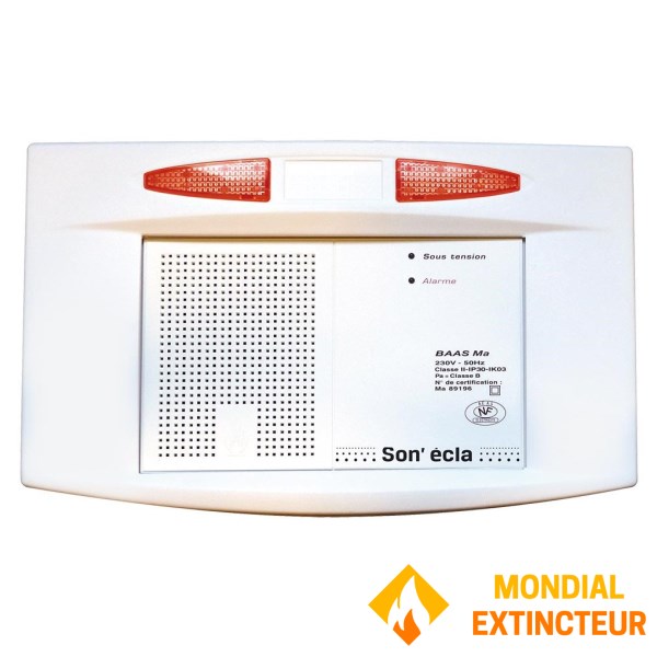 BAAS Manuel flash – son NFS 32001