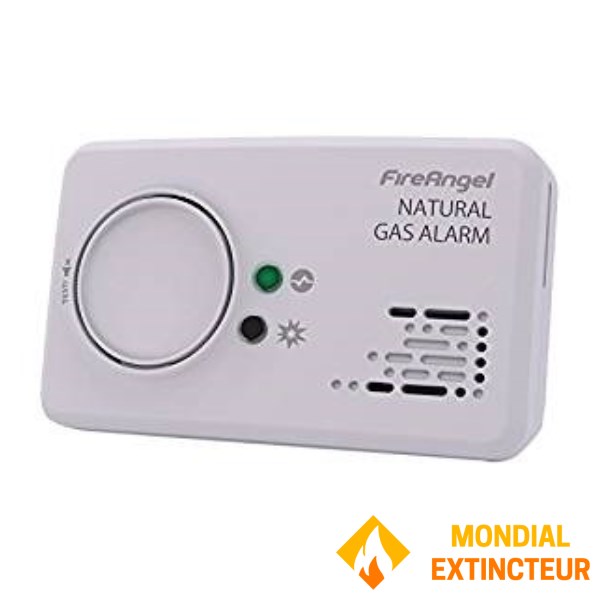 Détecteur de gaz naturel
