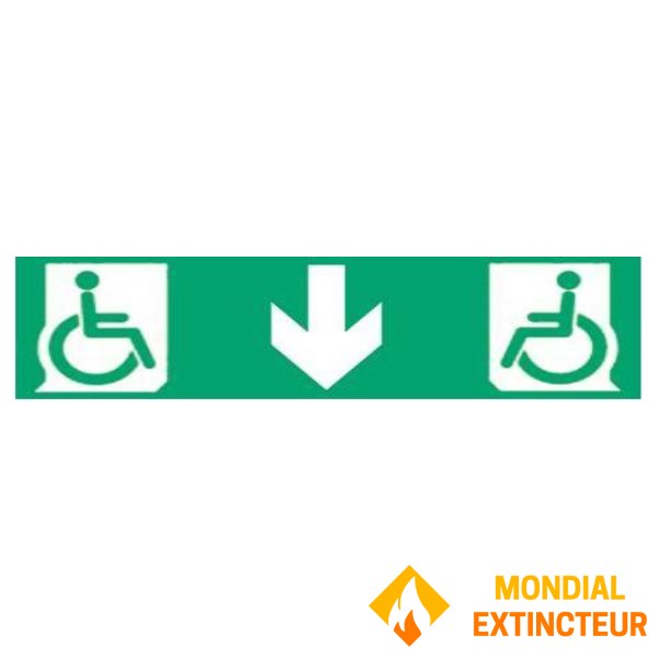 Etiquette multidirectionnelle adhésive PMR pour BAES