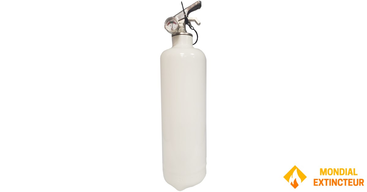PROCHIMA, Marmorina blanca, polvo mezclable con agua, similar a la