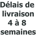 Extincteur automatique pour voiture de Rallye