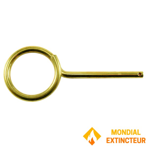 Goupille Sicli Euro - Lot de 10