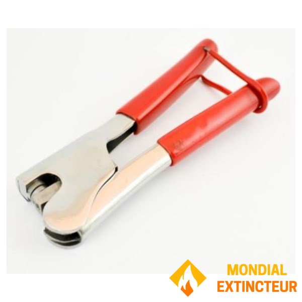 Kit 2 plombs - Marquage Gaufré - Pour pince manchon rouge