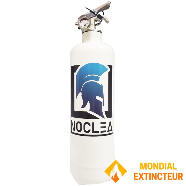 Lot de 5 Extincteurs Design "Personnalisés" réalisés sur mesure