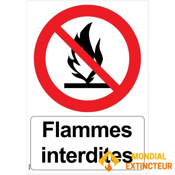 Panneau "Flammes interdites" - PVC A4