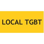 Panneau local TGBT – L.200 x H.100 mm