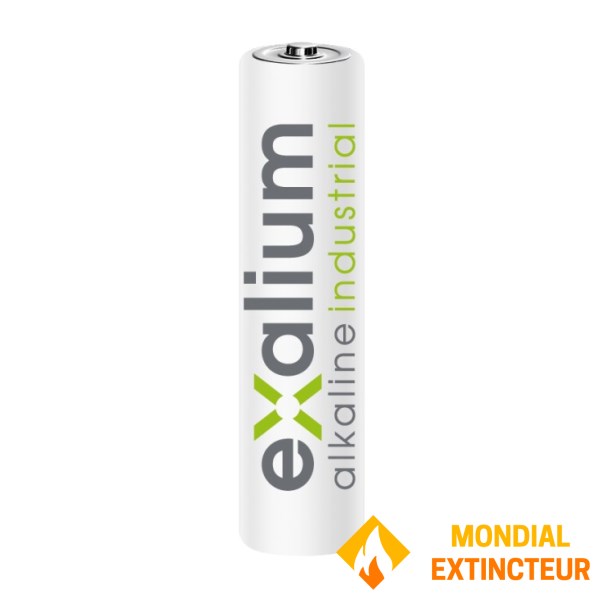 Pile Alcaline Exalium Industrielle LR03 - 1.5V