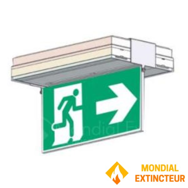 Porte sérigraphie saillie plafond double face