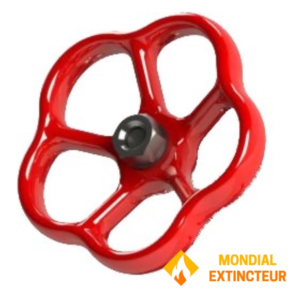 Volant pour robinet de colonne sèche D.100 mm