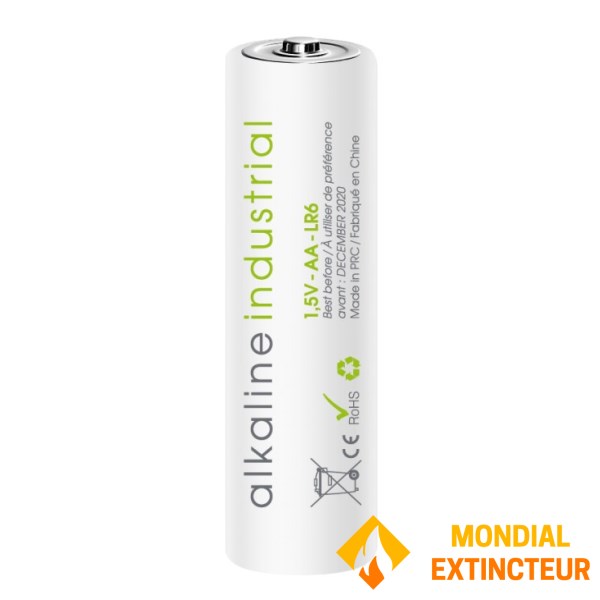 Pile Alcaline Exalium Industrielle LR06 - 1.5V