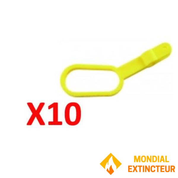 Confezione da 10 spille per polvere Andrieu ECO