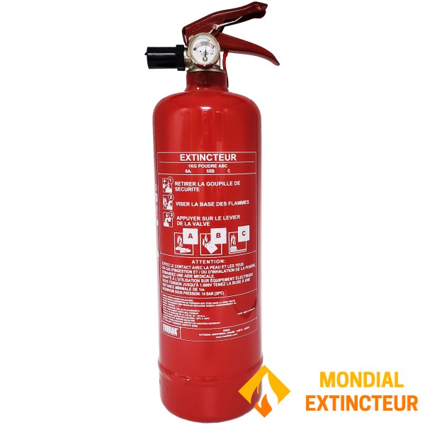 Estintore a polvere secca per auto da 1 kg con supporto