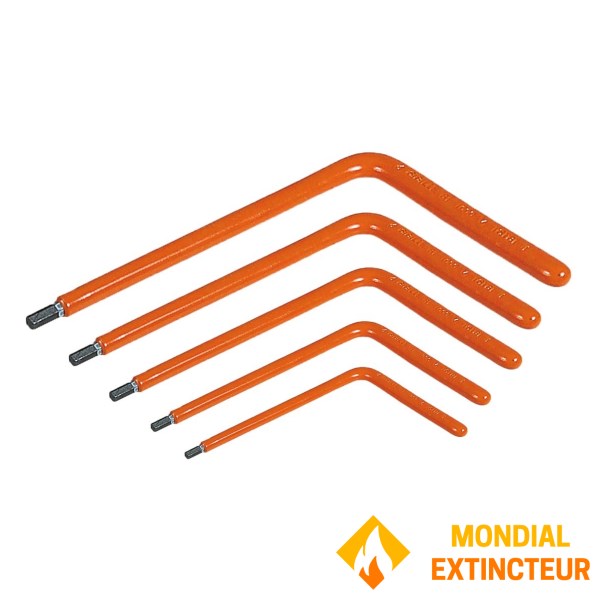 Set di 5 chiavi esagonali isolate 3/4/5/6/8 mm