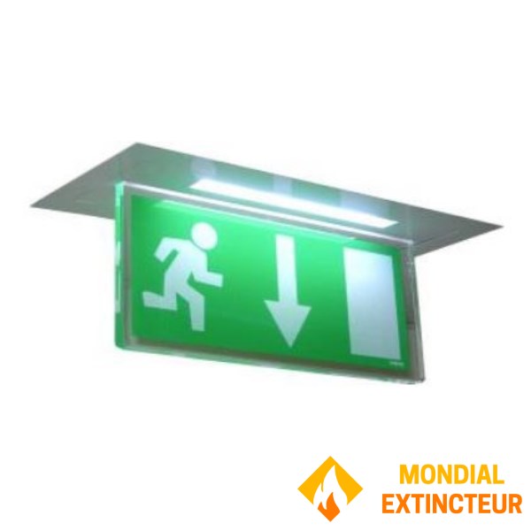 天井取付型メタルハウジング - エッジ照明