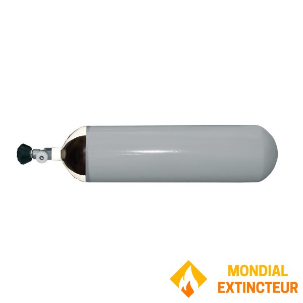 Bouteille dorsale 6 Litres