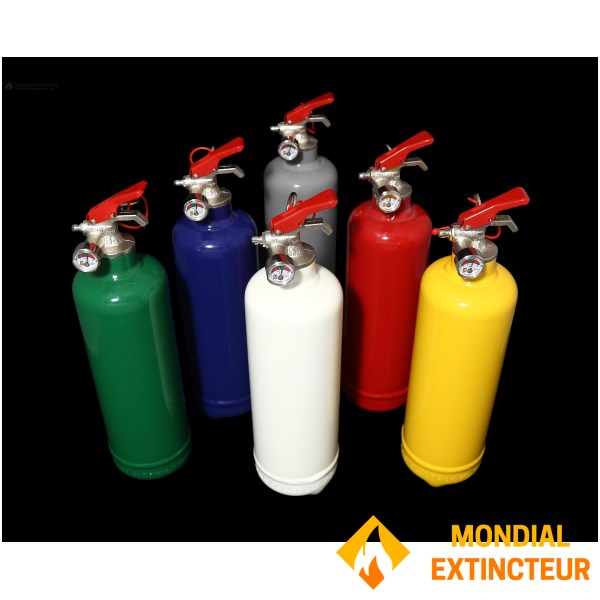 "オリジナル"グリーンABC粉末消火器、容量1kg