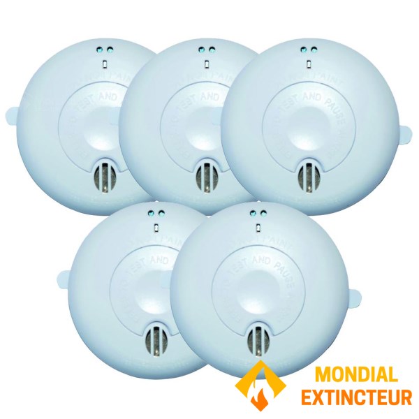 5개 디텍터 팩 프랑스 표준 10년 배터리