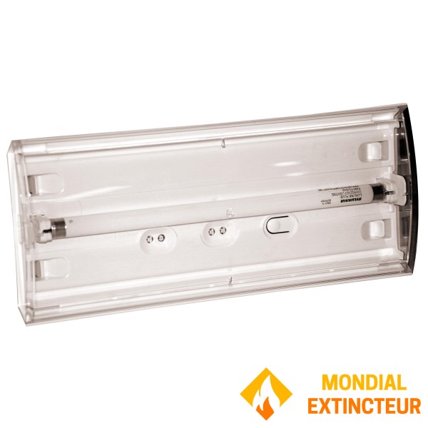 Baes 안티 패닉/앰비언스 - URA