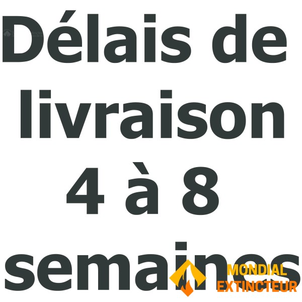 Automatinis gesintuvas ralio automobiliams