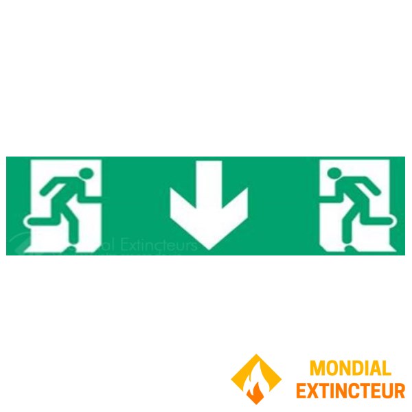 Étiquette multidirectionnelle adhésive BAES