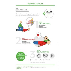 Mokymo medžiaga - Pirmoji pagalba: apžvalga