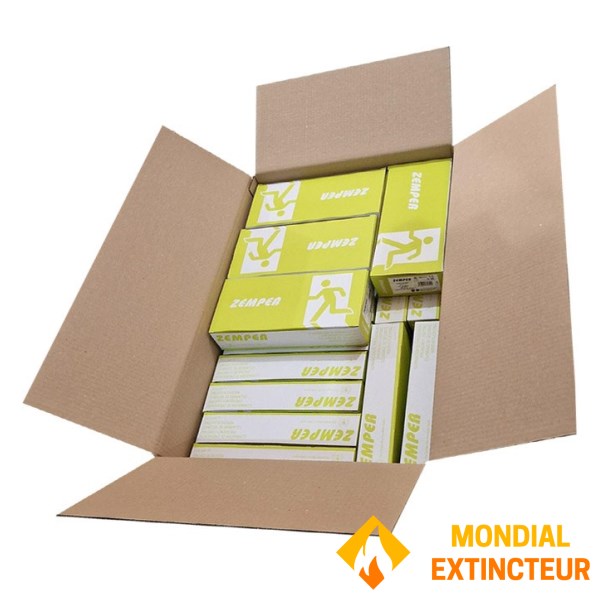 Carton de 18 BAES "Evacuation" Tout LED