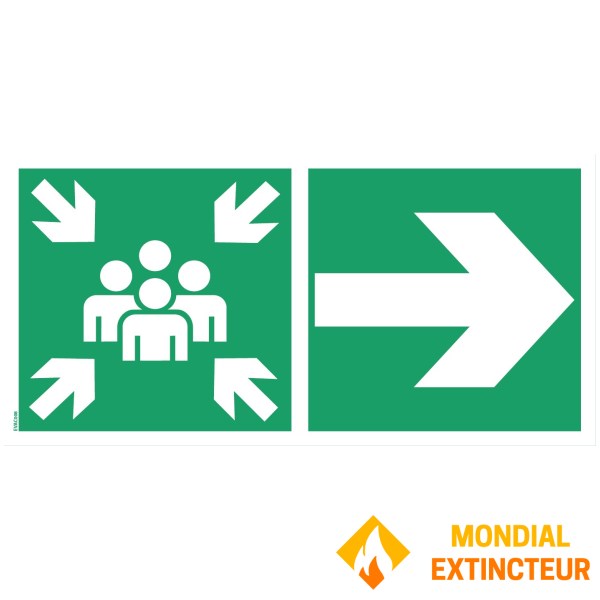 Pictogrammen montagepunt "pijl rechts" - PVC 500x250 mm