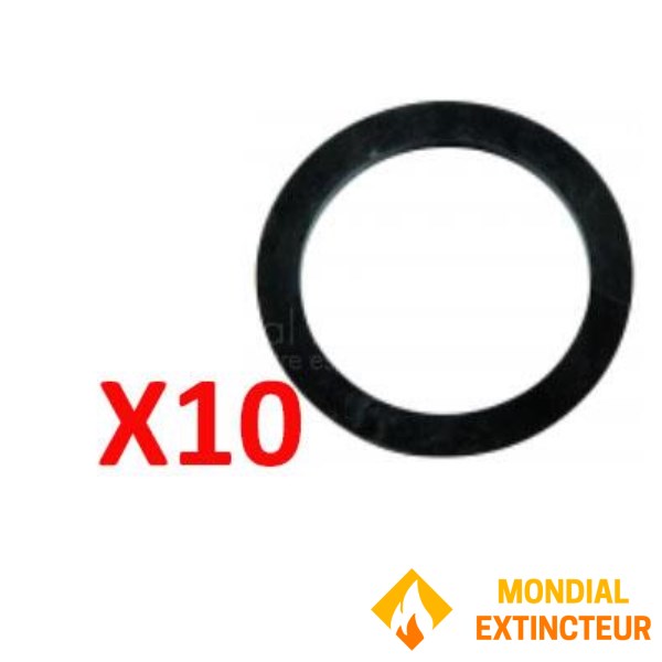 Set van 10 Desautel afdichtingen serie E6/E9/P3/P4/P6/P9/P25
