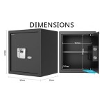 Biometrisk safe med nøkler - 38 liter