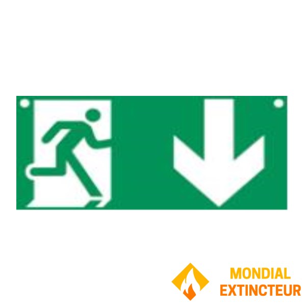 Duży sztywny panel PVC "PICTO FLÈCHE BAS" - 600 X 300 mm