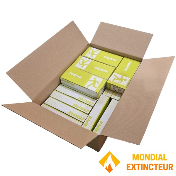 Carton de 18 BAES "Habitation" Tout LED