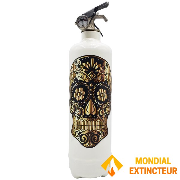 Projeto do extintor de incêndio "GOLDEN SKULL"
