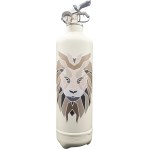 Projeto do extintor de incêndio "The lion"