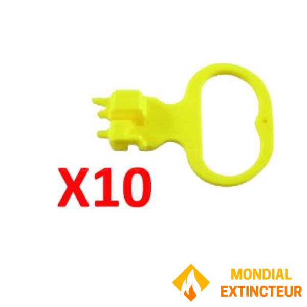 Conjunto de 10 alfinetes de pó da nova gama Andrieu Vulcain