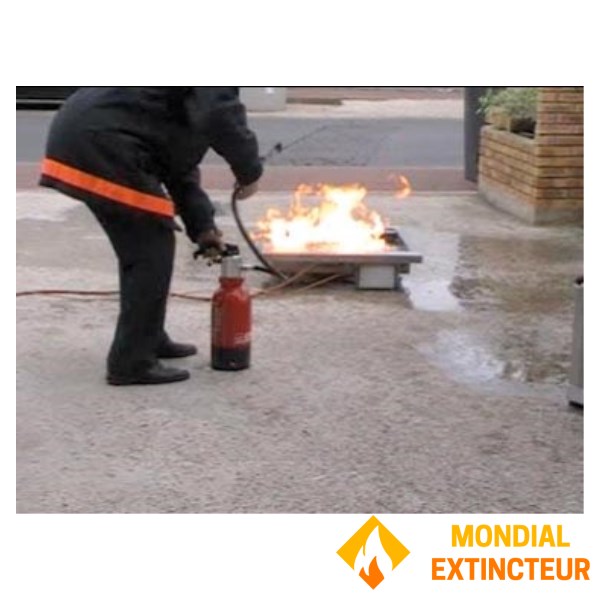 Extintor de formação