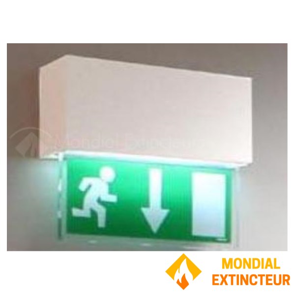 Invólucro metálico de montagem saliente - Iluminação de extremidades Gama "XENA FLAT"