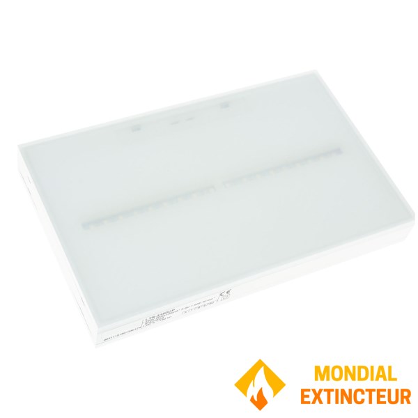 BAES Ambiance "TOLEDO" pentru sursa centrală 48 VCC Waterproof