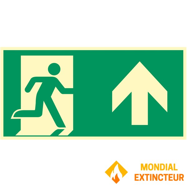 Evacuare fotoluminescentă Panou frontal 300 X 150 mm