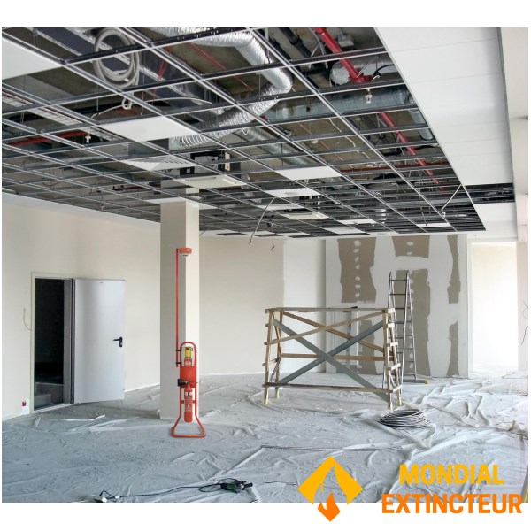 Totem de detectare a santinelelor