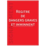 Реестр "серьезных и непосредственных опасностей" Формат A4