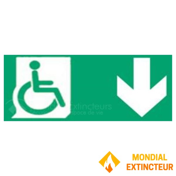 Plaque sérigraphiée pour boîtier tôle - Modèles DIANA 6