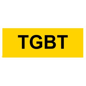 Панель "TBGT" - ПВХ 200x80 мм