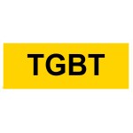 "TBGT-panel" - PVC 200x80 mm