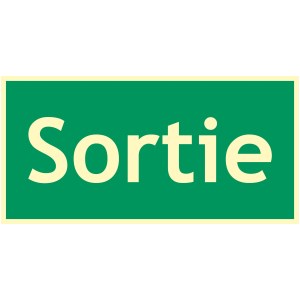 Fotolüminesan tahliye ÇIKIŞ paneli 300 X 150 mm