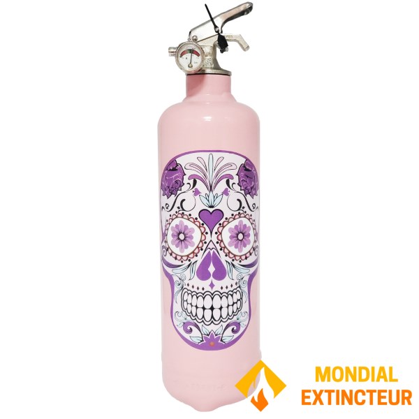 Tasarım yangın söndürücü "PEMBE SKULL"