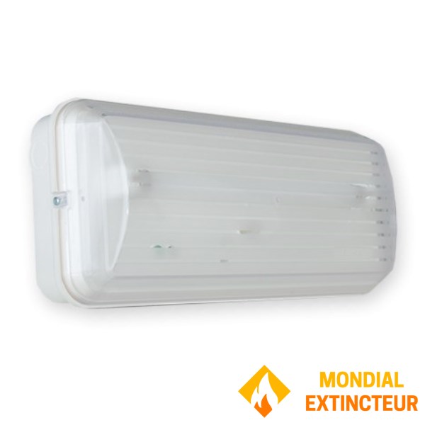 BAES SATI "évacuation" Ambiance IP42 - IK 04 - Fluorescent