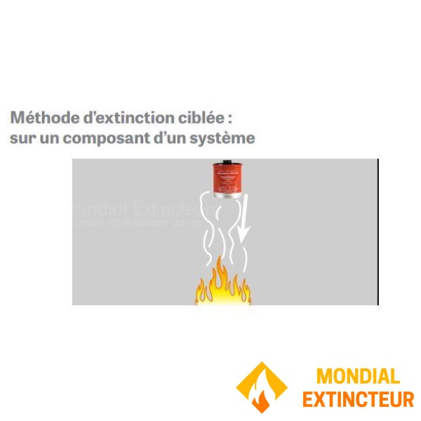 Aérosol d'extinction - Protection pour 20 mètres cube