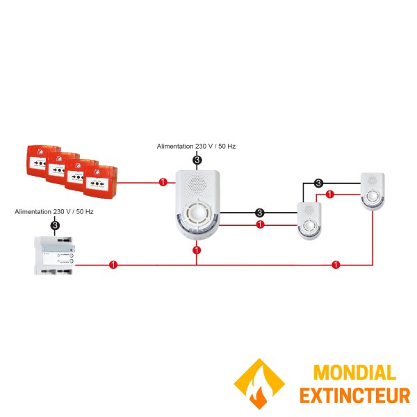 BAAS Sonora 手动闪光灯 - NFS 声音 + 录音信息